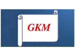 GKM GIDA                                         